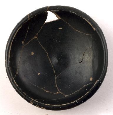 Marian Venceslá Delgado (CERES)